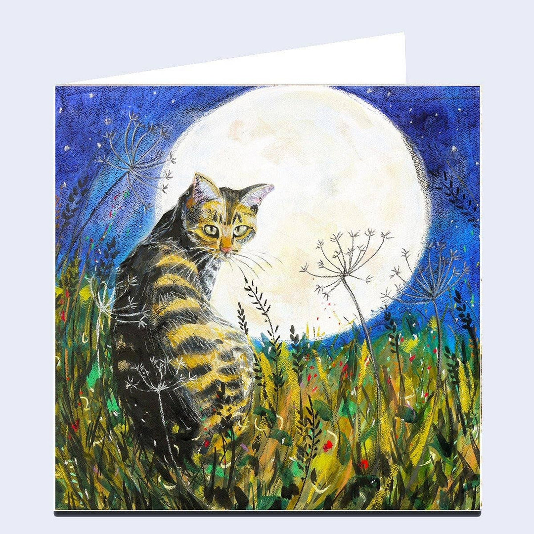 'The Cat and the Moon' Greeting Card - Birch & BrackenCARDS