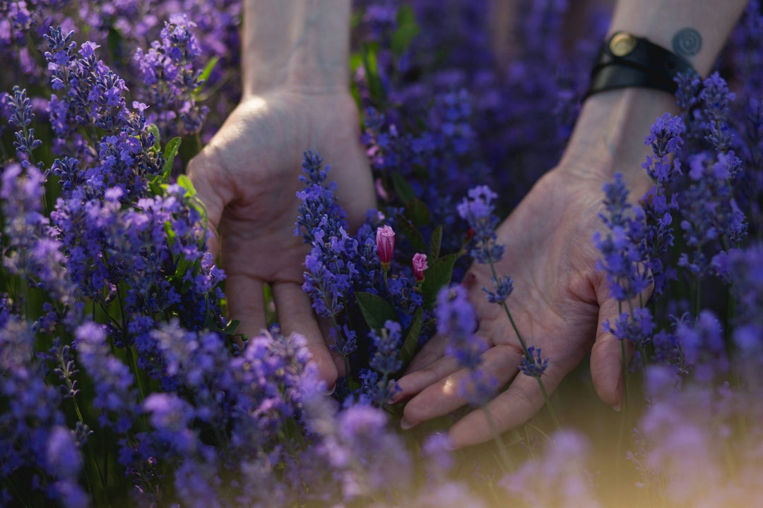 12 Essential Oil Blends for a Fresh and Inviting Summer Home - Birch & Bracken