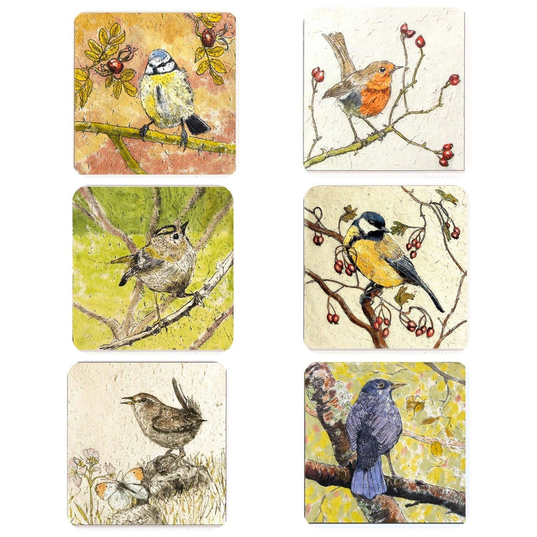 'Garden Birds' Coaster set - Birch & BrackenCOASTERS