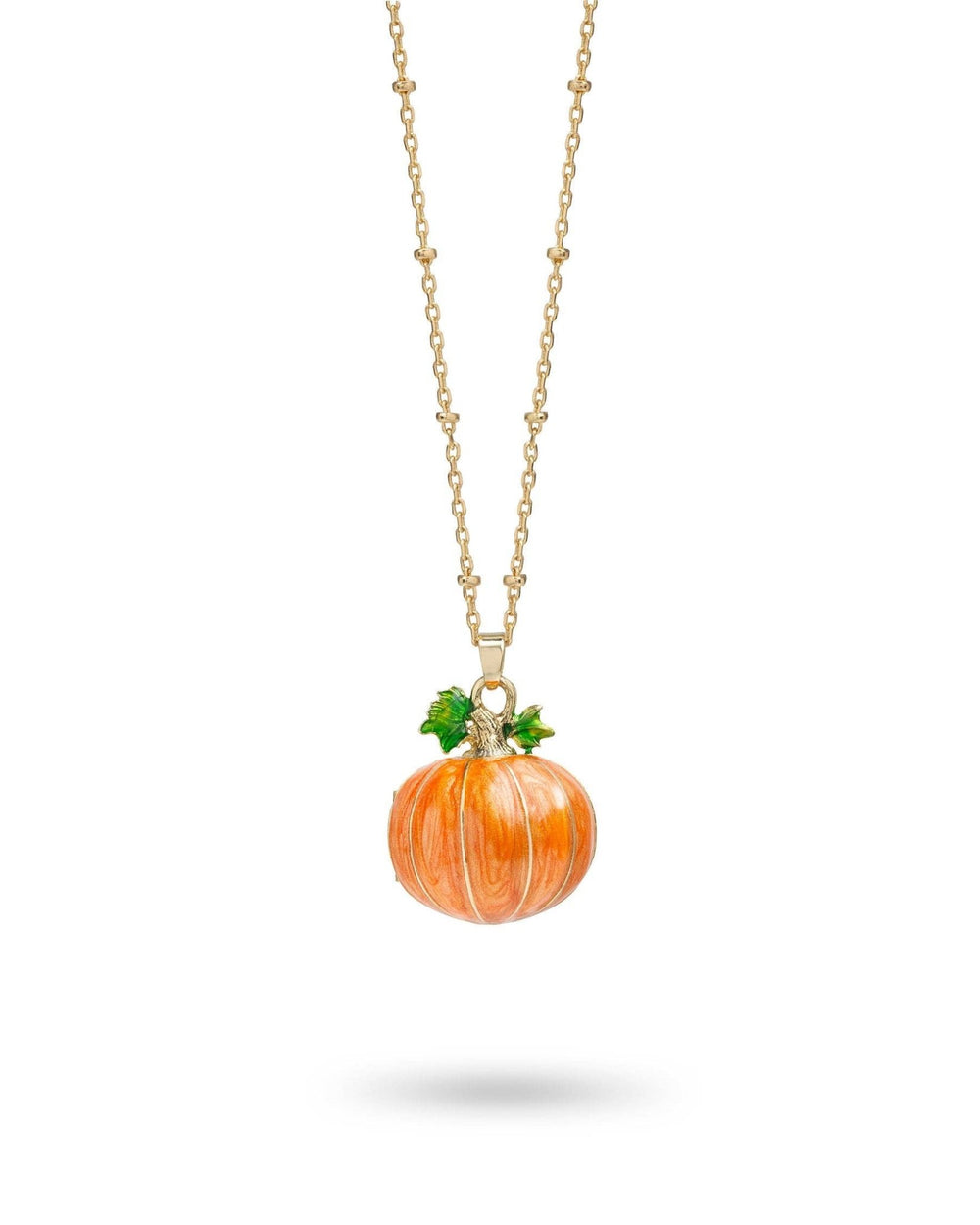 Hedgehog & Pumpkin Locket - Birch & BrackenNECKLACE