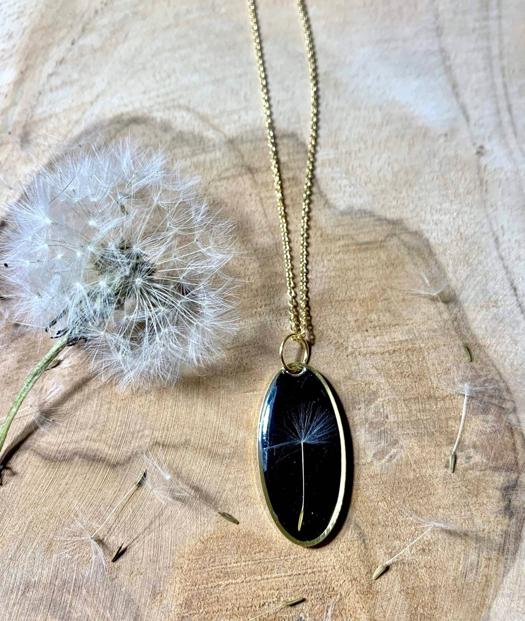 Oval Dandelion Seed Dried Flower Necklace - Birch & BrackenNECKLACE