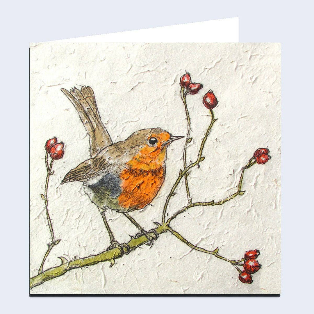 'Robin & Rosehips' Greeting Card - Birch & BrackenCARDS