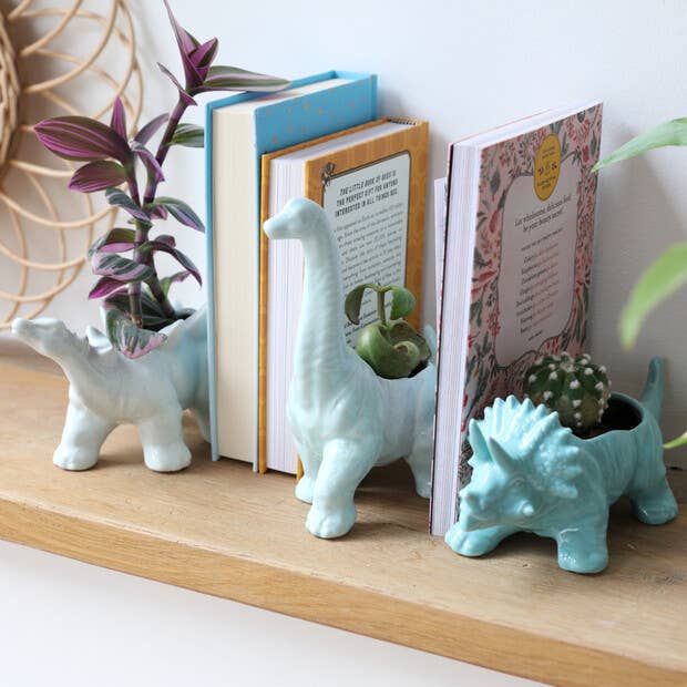 Triceratops Dinosaur Planter - Birch & BrackenPLANTER