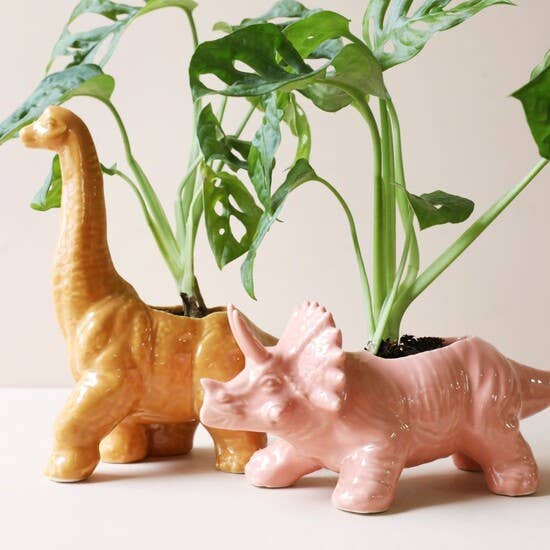 Triceratops Dinosaur Planter - Birch & BrackenPLANTER