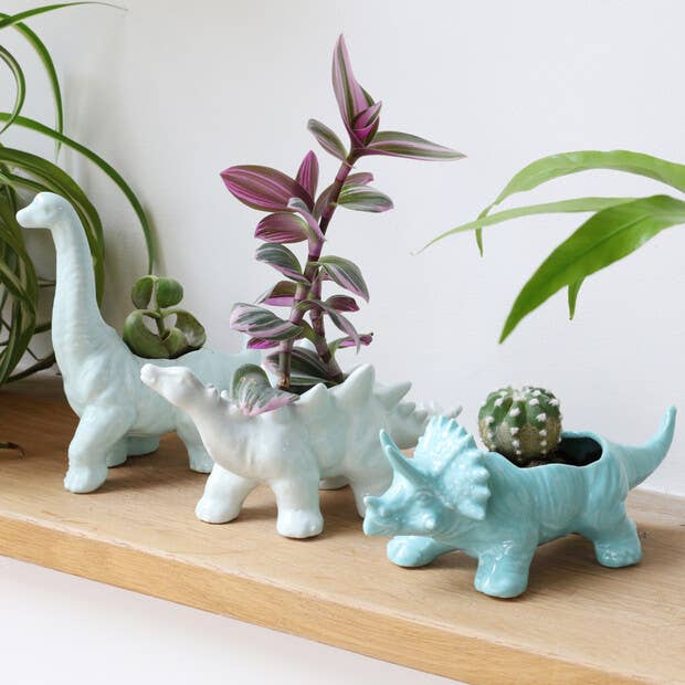 Triceratops Dinosaur Planter - Birch & BrackenPLANTER