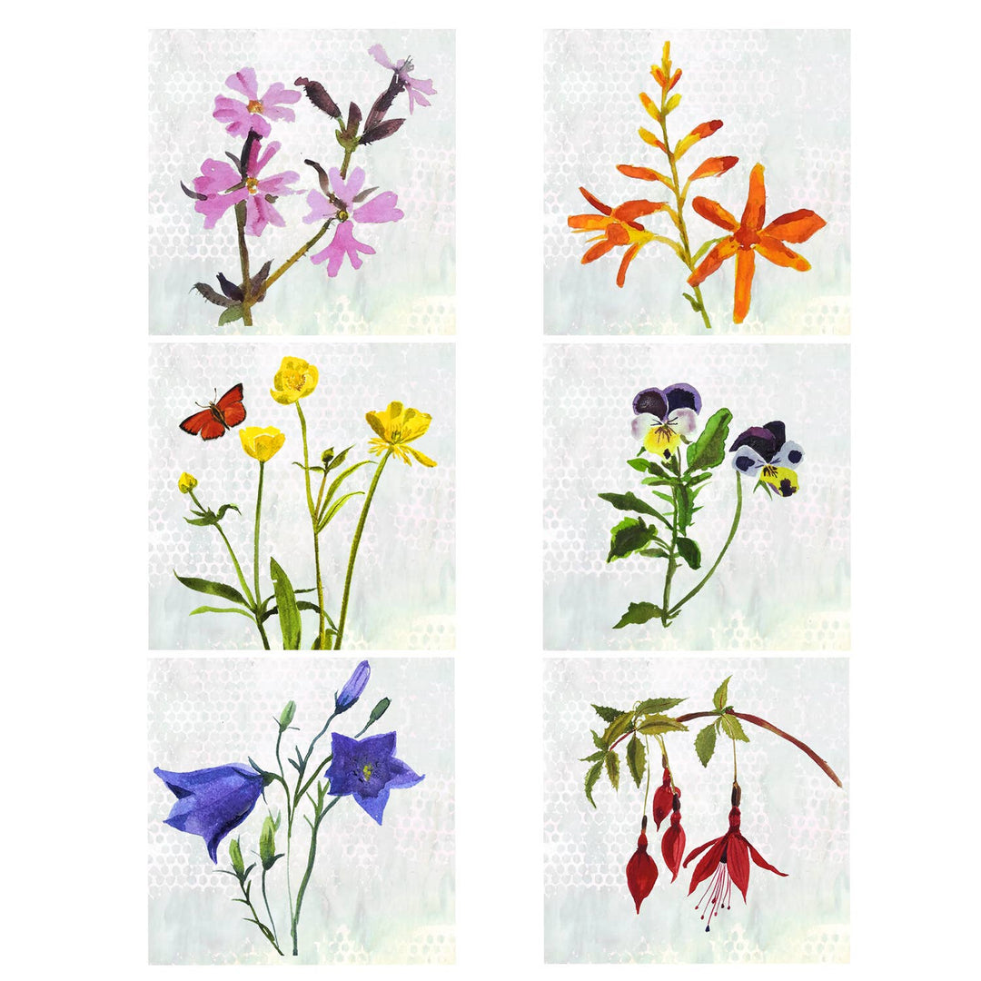 'Wildflowers' Mini Card Set - Birch & BrackenCARDS